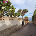 Ocean Bliss Daire